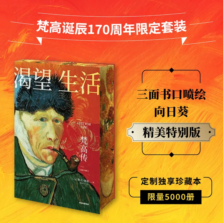 渴望生活：梵高传（向日葵刷边版）梵高/天才画家/人生故事/励志