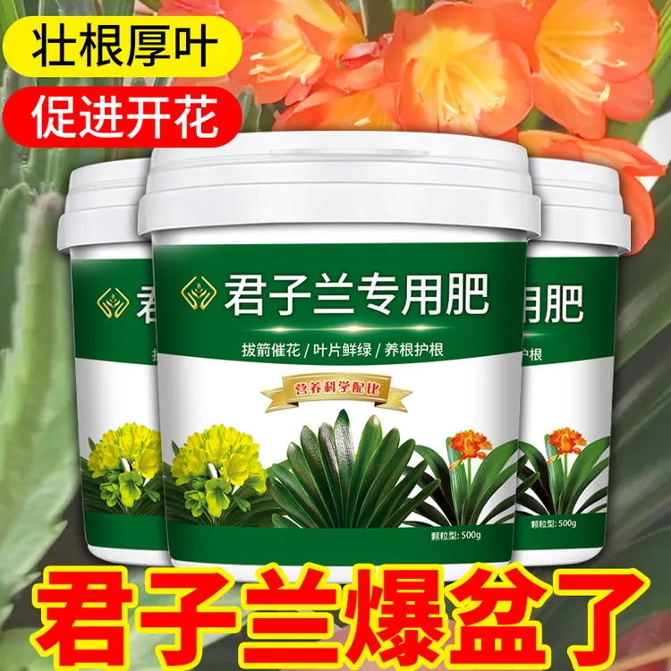 君子兰爆盆家用盆栽壮根厚叶促进开花专用有机颗粒营养缓释肥料