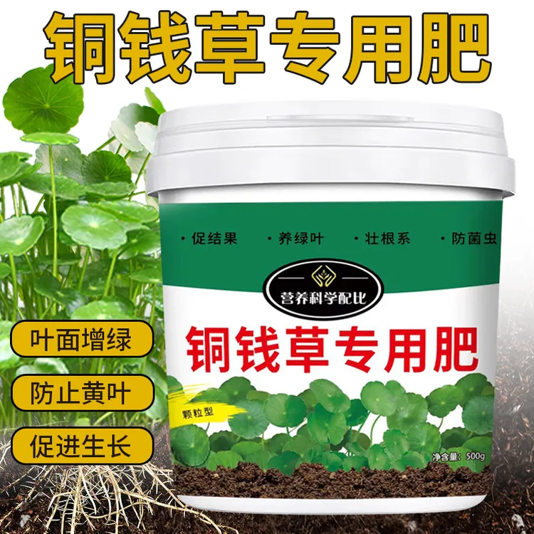铜钱草专用肥绿植盆栽颗粒缓释肥生根叶绿养花通用型改善土壤防虫