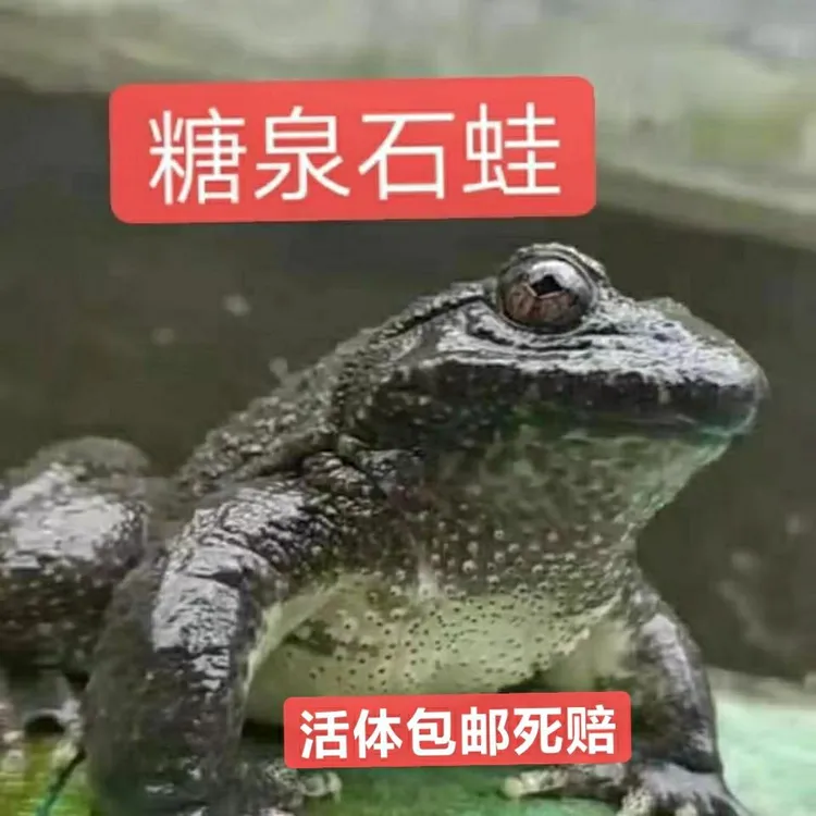 浙江绍兴生鲜鱼蛙养殖