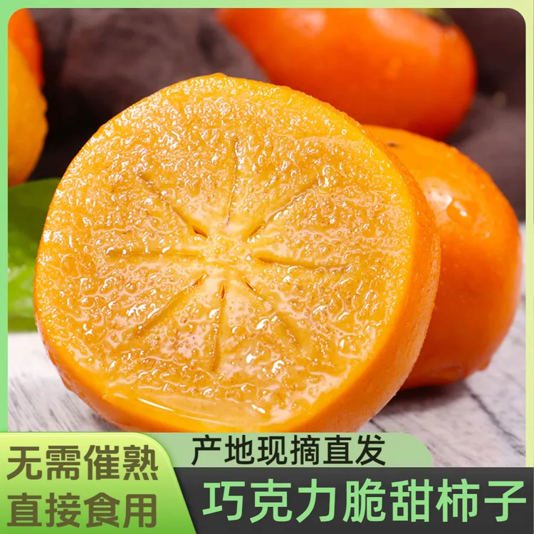 巧克力脆甜柿子大果新鲜整箱产地直播卖货批发应季硬柿子丰收季