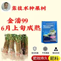 金潘99成苗，增产肥料