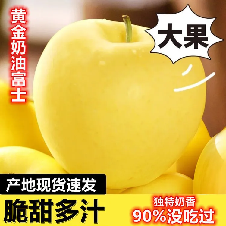 山东烟台黄金奶油富士苹果脆甜新鲜采摘水果5斤包邮苹果红富士