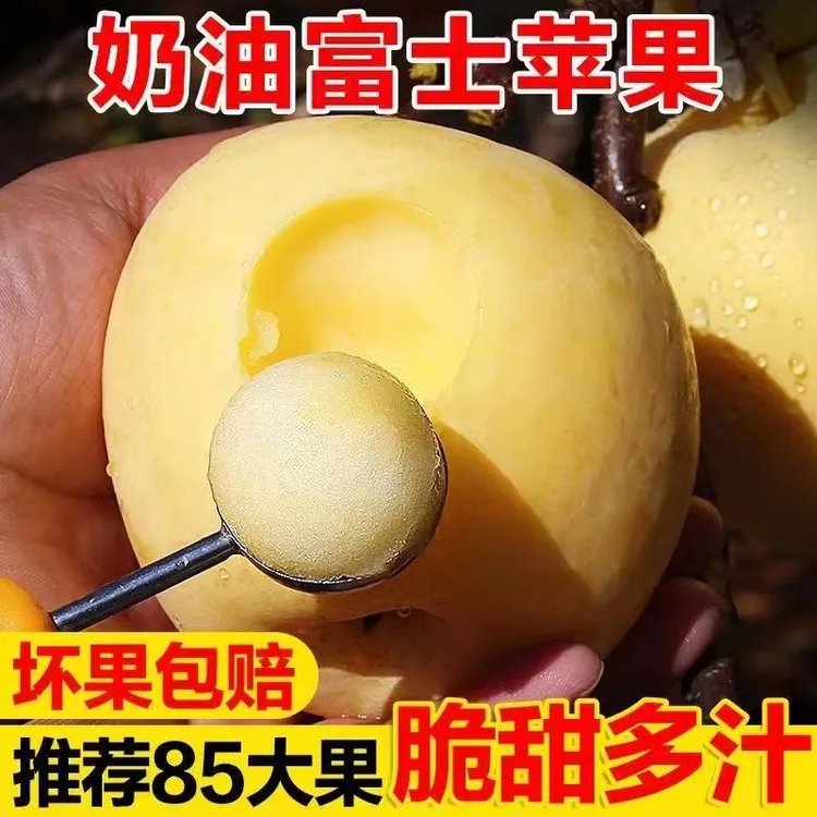 品质.烟台黄金奶油富士苹果脆甜新鲜直供4.5斤包邮红富士多汁糖心