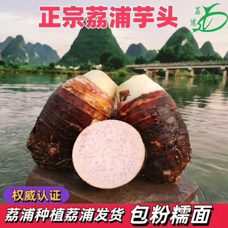 荔浦芋头广西荔浦芋头每天现挖现发包粉糯香面个大美味健康新鲜