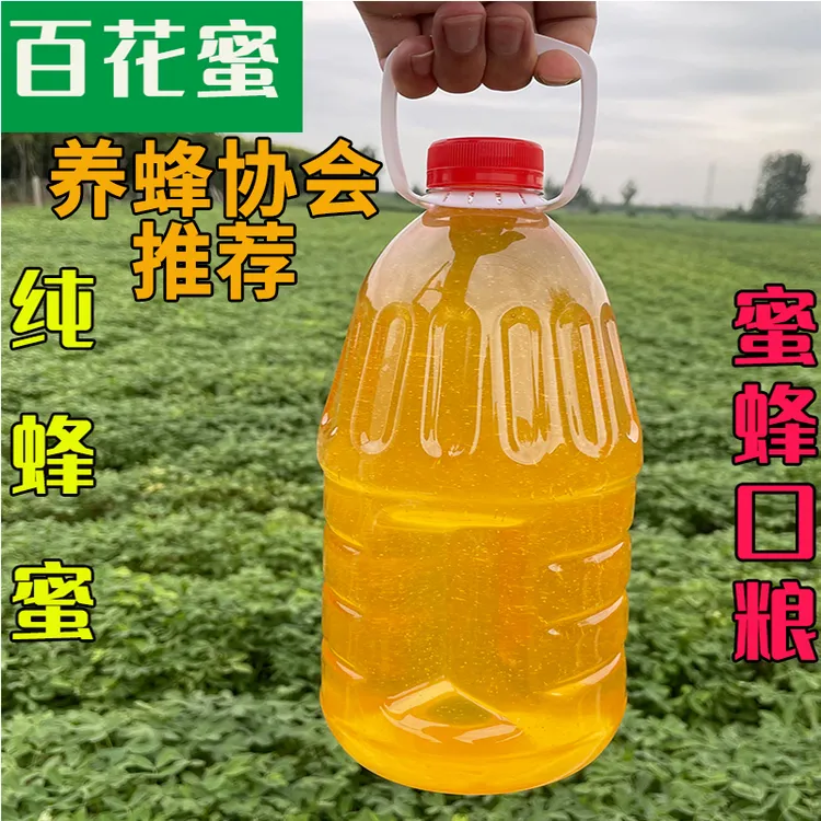 蜜蜂口粮中蜂口粮 蜜蜂饲料喂蜂蜜天然喂蜂蜂蜜蜂饲料【蜂大大】