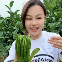 【陈红精选】肇庆佛手果清供车载除味泡蜂蜜佛手柑