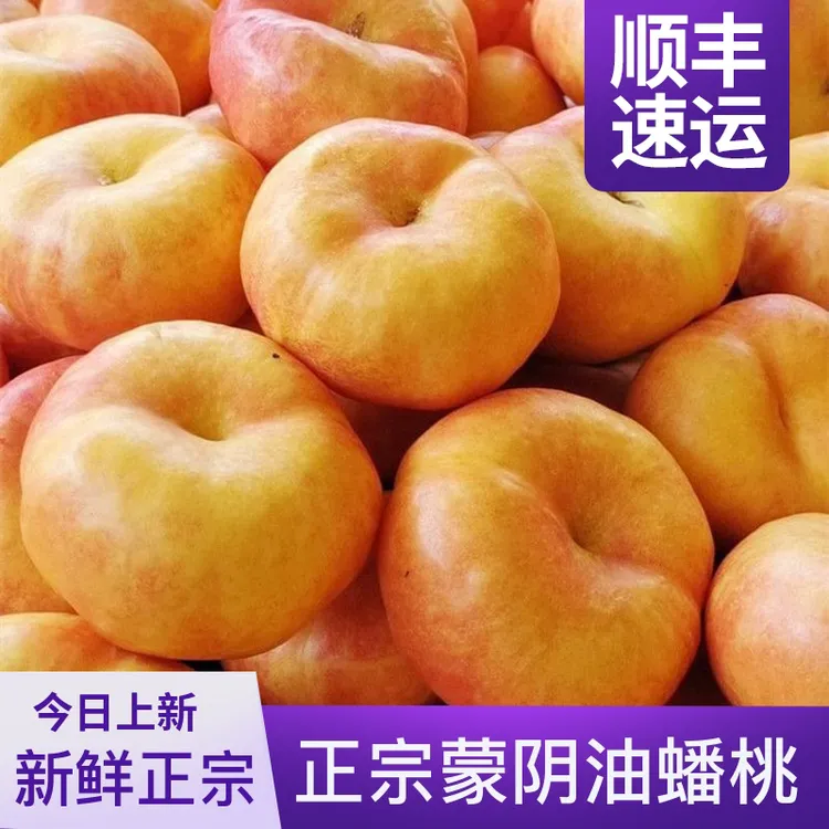 黄金油蟠桃彩虹蟠桃（顺丰）夏日尝鲜蒙阴产地爆甜爆汁2斤~4斤