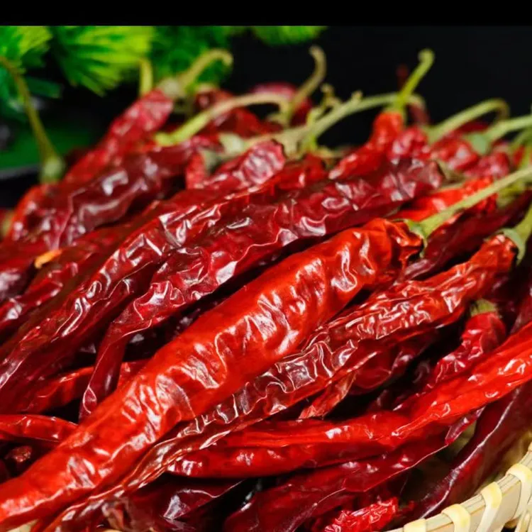 二荆条干辣椒提色增香微辣特香炝锅炒菜红油辣子
