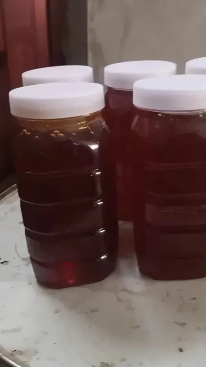 枣花蜂蜜 原生态1kg
