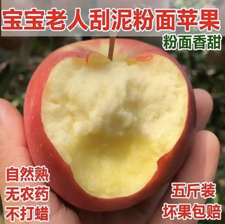 山西运城2023头茬早熟中秋王粉面苹果软糯香甜5/10斤