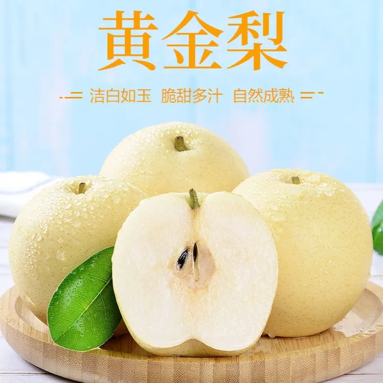 黄泛区农场【黄金梨】 正宗产地直发包邮口感多汁甘甜