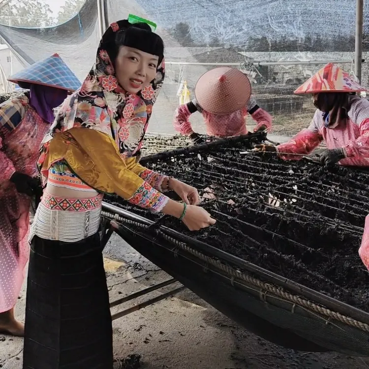 2025年东山岛 头水头紫菜 250克/500克