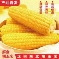【当年新货】东北糯玉米黄糯玉米甜糯粘玉米棒真空包装营养粗粮