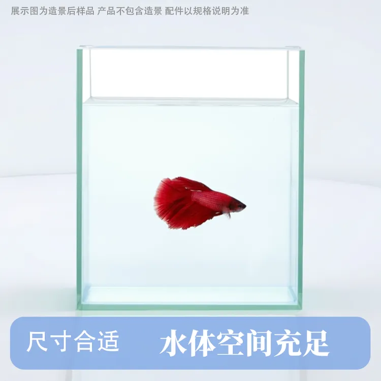 13*8*15超白清水3MM鱼缸网红斗鱼专用缸透明清水小鱼缸办公室鱼缸