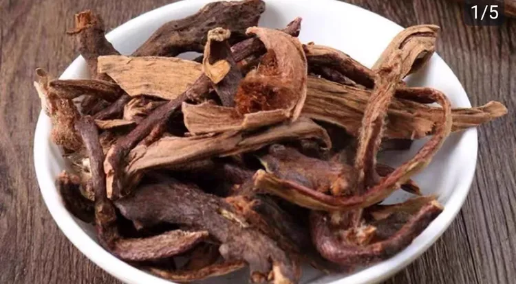 广西骨碎补正品包邮补碎骨补骨髓爬岩姜