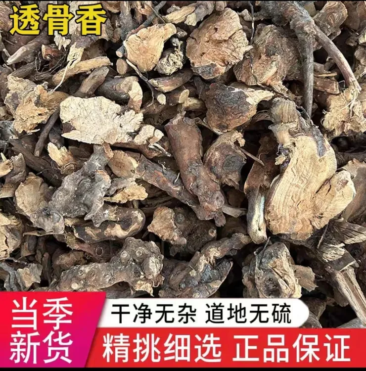 广西野生透骨香自然晒干 无硫 满山香根 七里香 过山香500克包邮