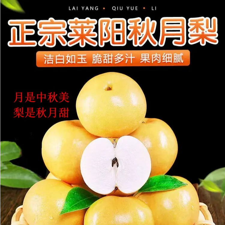 正宗山东莱阳秋月梨净重5斤脆甜砂锅多汁