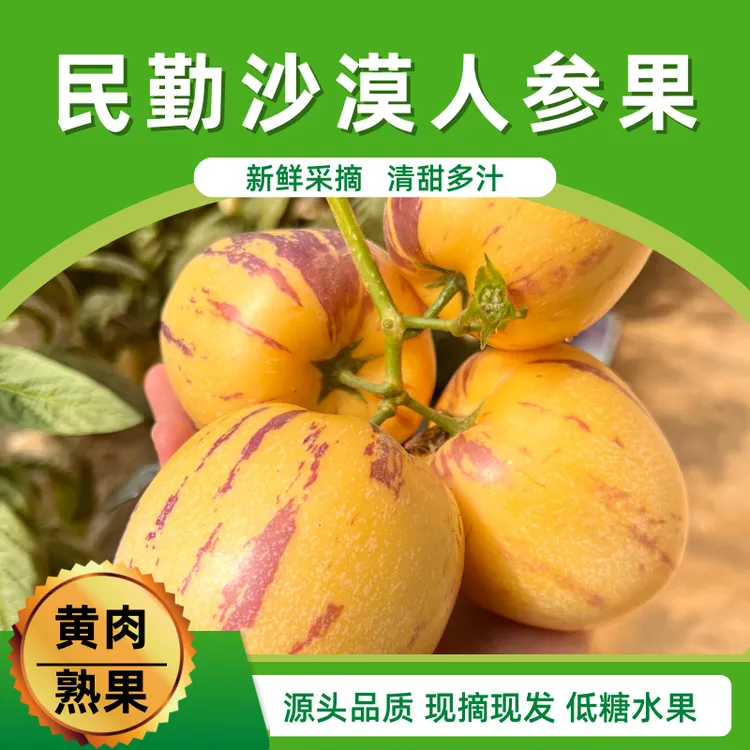 【顺丰包邮】甘肃民勤沙漠人参果精选净重5斤大果200g+（7-13枚）低糖