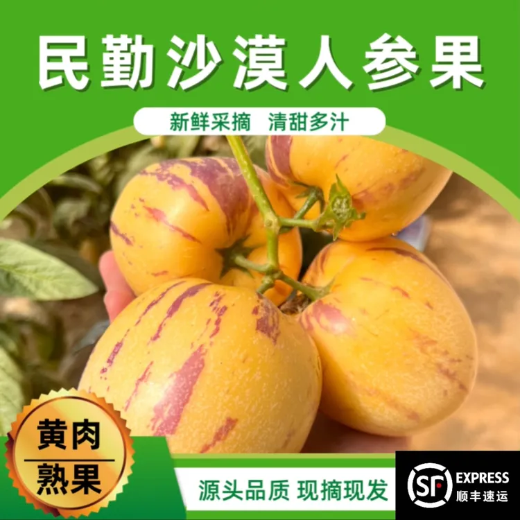【顺丰包邮】甘肃民勤沙漠人参果净重5斤黄肉熟果低糖现摘现发