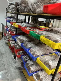 多样性发货，小金刚大金刚风眼其中一条！