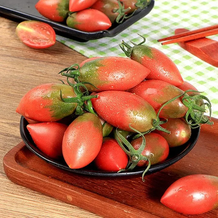 紫弹头小番茄新鲜采摘水果酸甜脆口多汁