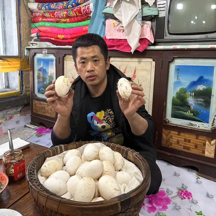 （铁柱家）农村散养笨鹅蛋顺丰包邮！