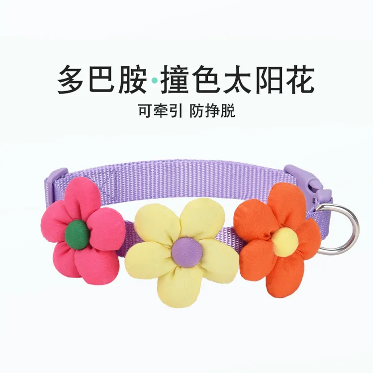 606狗狗项圈结实多巴胺宠物脖圈柯基比熊外出专用可牵引颈圈项链