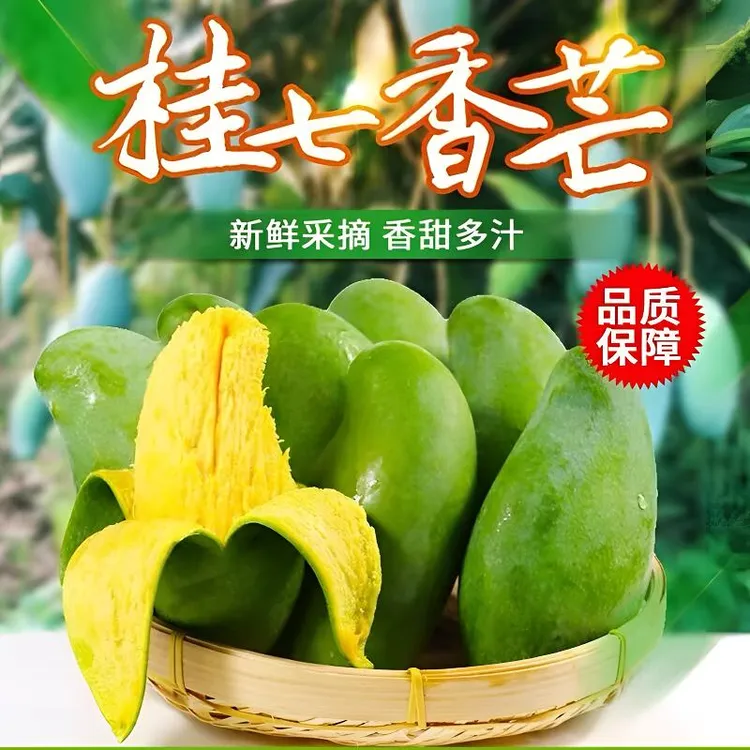 【正宗田东桂七芒果】新鲜采摘多汁香甜可口产地直发