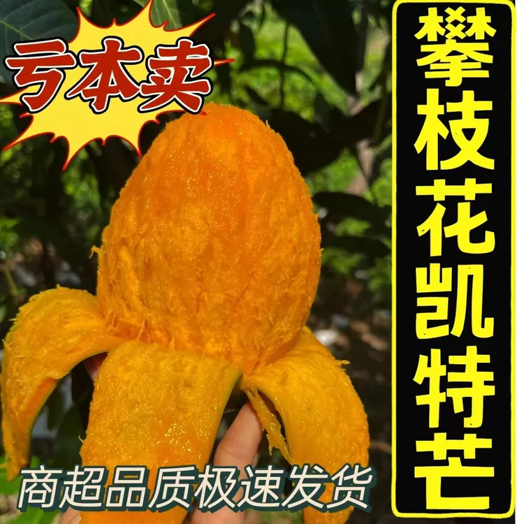 正宗四川攀枝花高山凯特芒果新鲜10应季斤水果芒果整箱包邮特大果