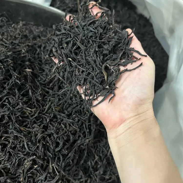 潮州凤凰蜜兰单枞茶