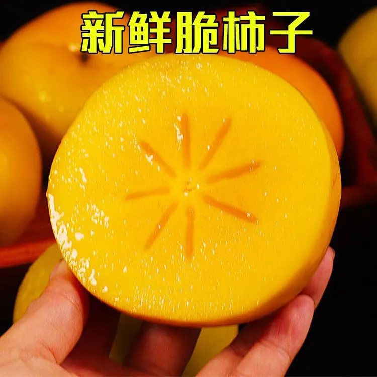 2025新鲜采摘山西阳丰巧克力脆柿香甜多汁现摘水果