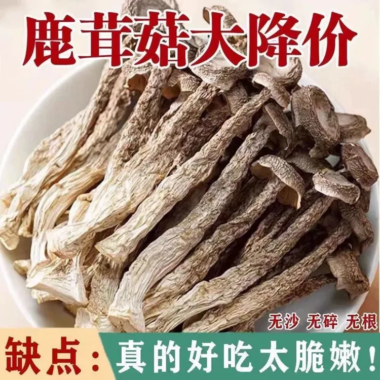【买二送一】鹿茸菇干货批发新鲜鹿耳菇鹿茸菌菇煲汤脆脆菇高山