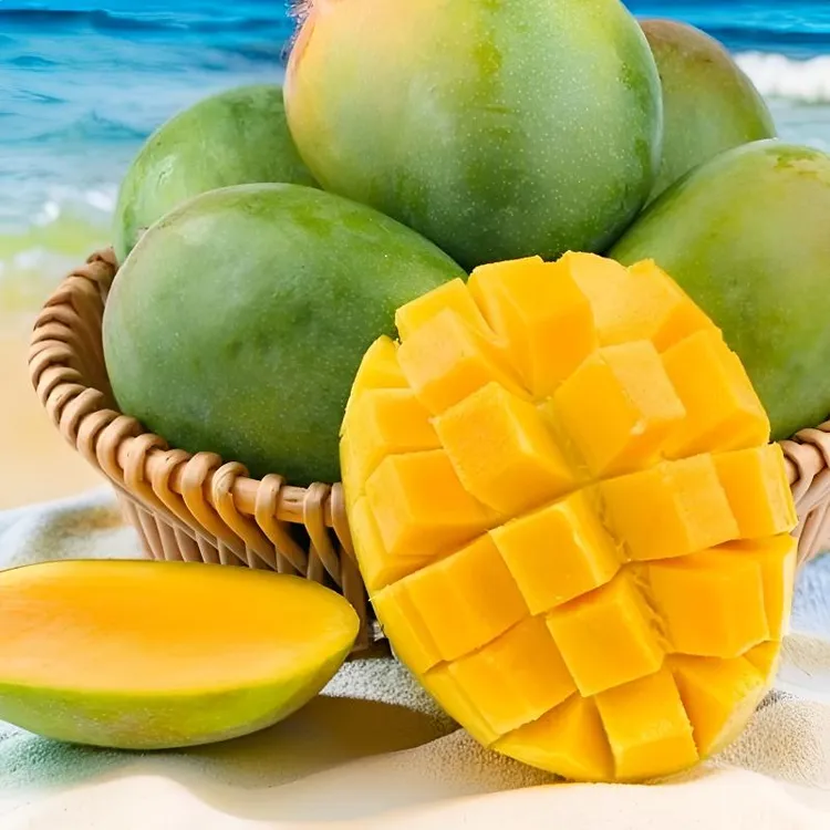 【现货10斤】四川攀枝花芒果凯特大脸芒酸甜多汁芒果香味浓现摘