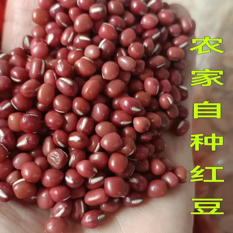 清远本地农家自种红豆青黄豆黄豆黑豆赤小豆绿豆3斤5斤广东包邮