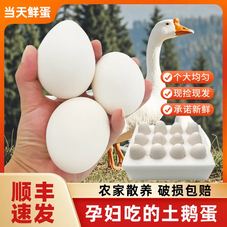 农家散养土鹅蛋二两到二两四（100g-120g）当天捡当天发保证新鲜