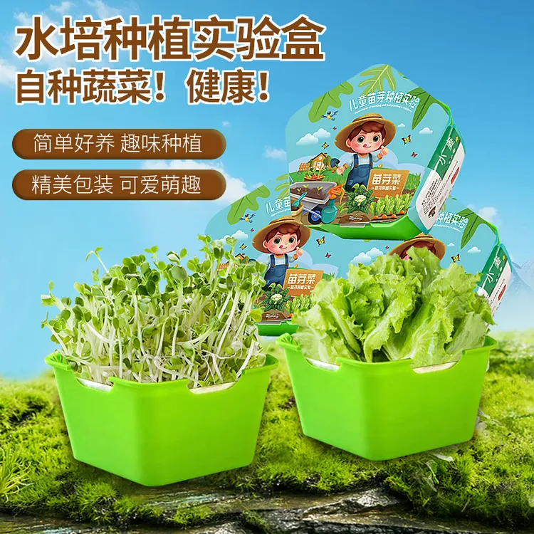 Diy儿童科学小实验套装儿童苗芽实验 亲子种植简单绿色探索动手