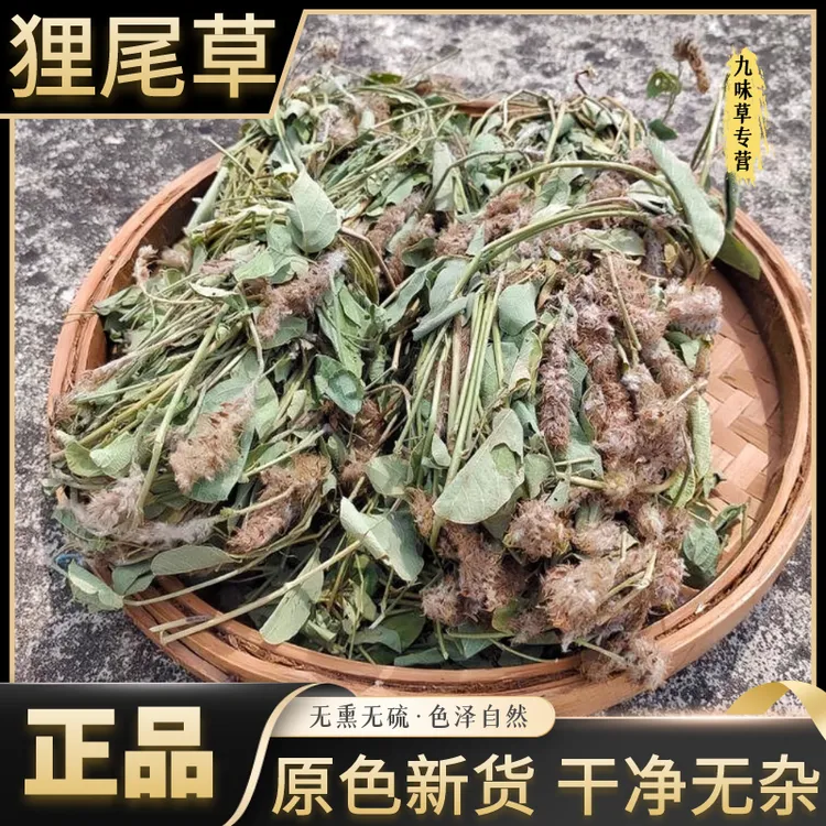 狸尾草正宗广西野生羊咩咩草农家自晒狐尾草煲汤煮茶另售益母草