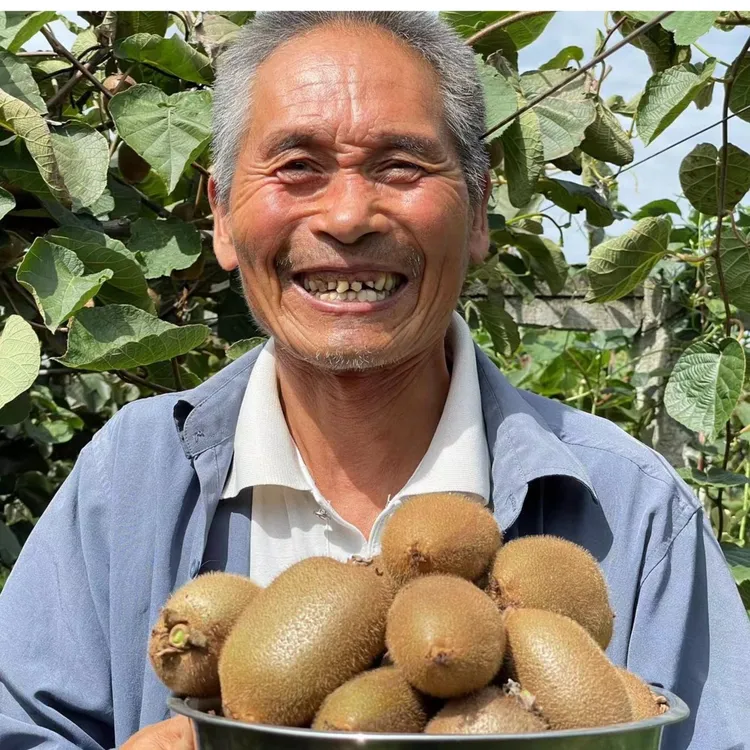 【周宝宝专属】催熟软化陕西周至正宗精选翠香猕猴桃 中通快递2-5斤