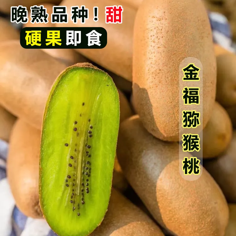 【中通快递】陕西周至金福猕猴桃稀有品种微弹即食2-5斤包邮