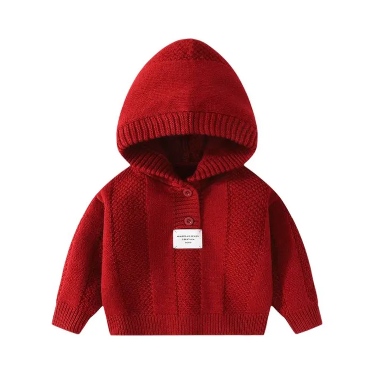宝宝连帽毛衣针织衫带帽秋冬款打底衫婴儿韩版冬季男女宝保暖上衣