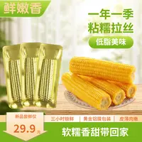【试吃2根】鲜食黄糯玉米棒东北甜糯粘玉米粗粮金色铝箔装240g*10根