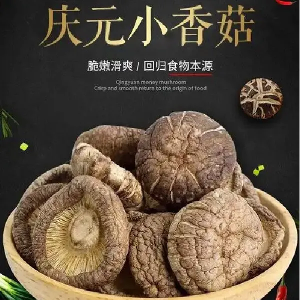 庆元香菇新菇250g-500g菌菇山珍干货特产食用菌厚菇菌菇山珍干货