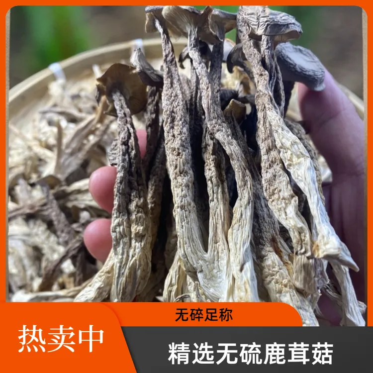 农家鹿茸菇干货干净无根香脆脆脆菇煲汤美味鲜香食用菌脆爽