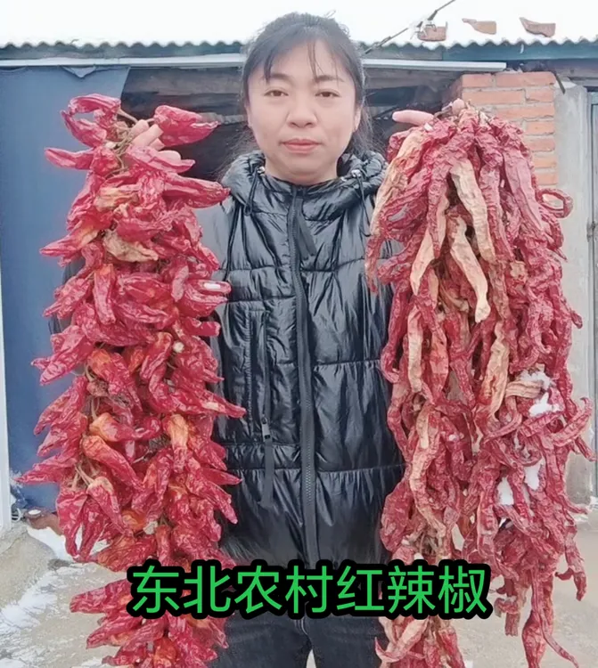 东北农家小菜园自产薄皮大红笨干辣椒  1斤  包邮