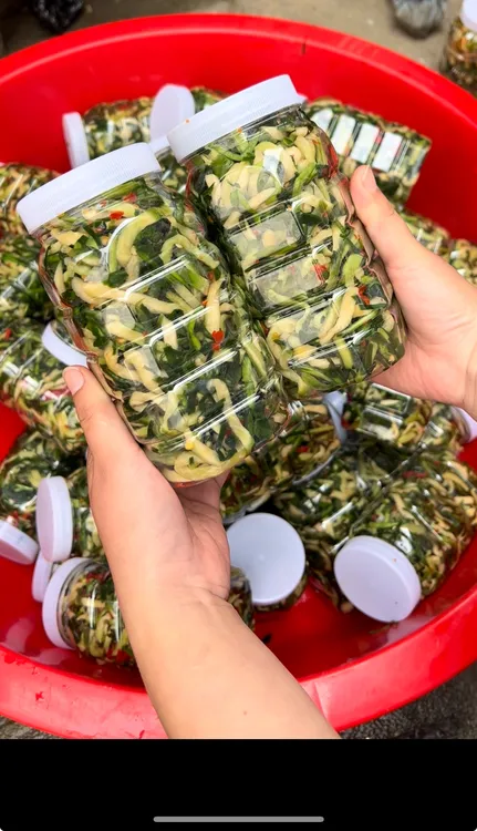 固始小咸菜韭菜萝卜丝，萝卜丁子