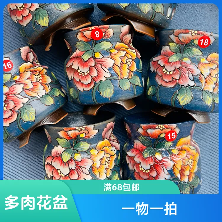 倩倩多肉花盆一物一拍满68包邮偏远188直播间选图