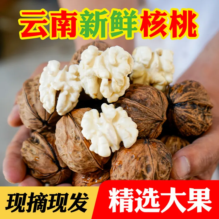 2025年云南老树鲜核桃3/5/8斤湿核桃新鲜孕妈妈当季水果现摘