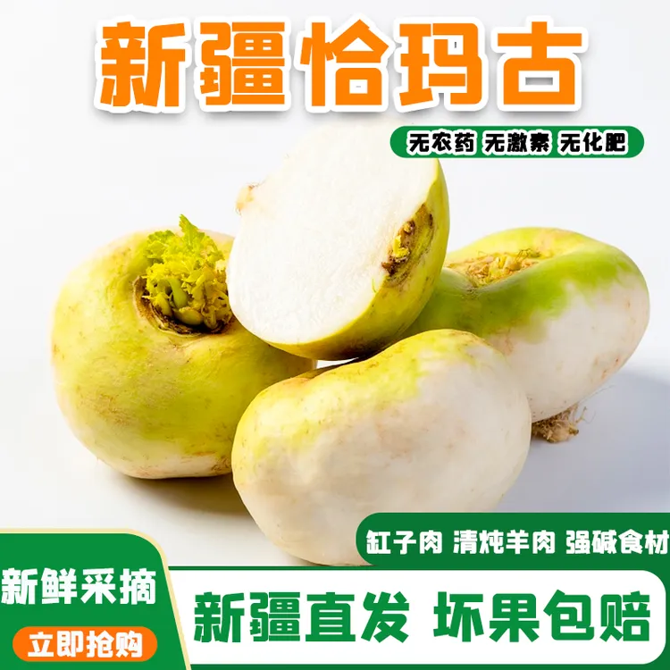新疆土特产新鲜恰玛古当季蔓菁疙瘩蔬菜正宗农产品芜青土萝卜3斤