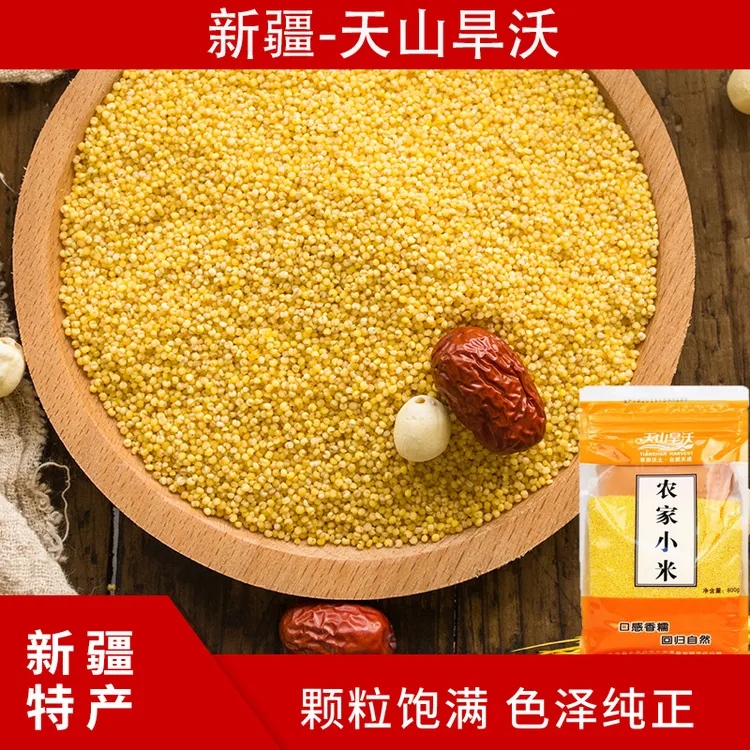 新疆特产天山旱沃营养糯黄小米新米小黄米新鲜细腻农家香糯金黄